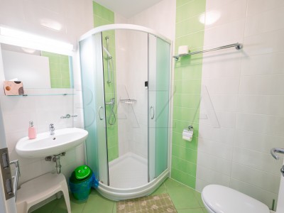 Poslovni prostor, Ljubljana okolica – Rakitna 19