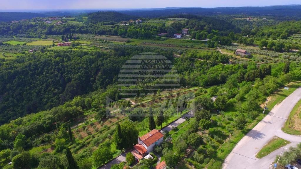 Istryjski dom Buje 29