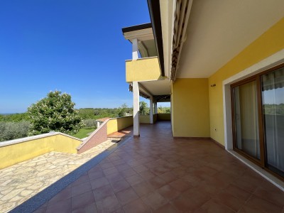 House with an olive grove and a view of the sea 11