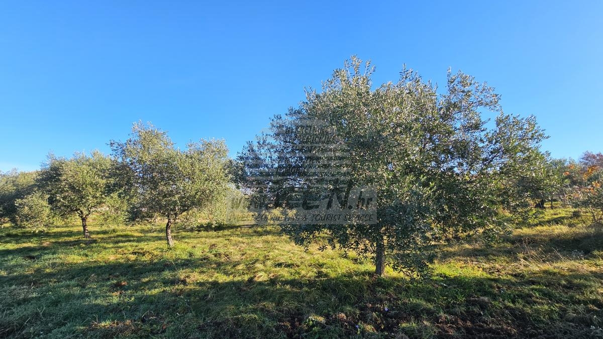 Progetto Moderno in Zona Tranquilla vicino a Buie – Terreno Edificabile con Progetto Concettuale 2