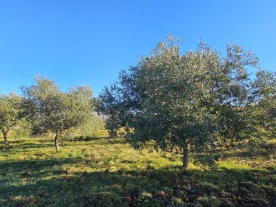 Progetto Moderno in Zona Tranquilla vicino a Buie – Terreno Edificabile con Progetto Concettuale 2