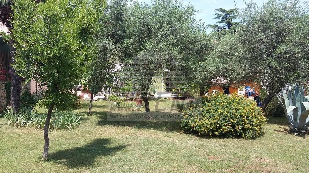 Haus in Novigrad 13