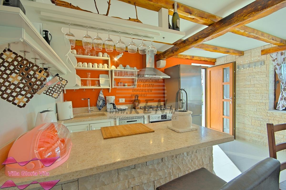 House with swimming pool near Brtonigla 25