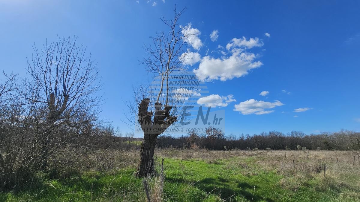 Grundstück in der Nähe von Umag, umgeben von Wald und Natur 2