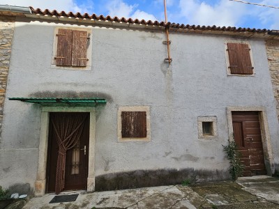 House with a yard in the center of Novigrad