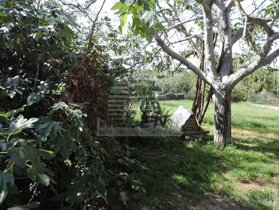 Stone house near Buje 10