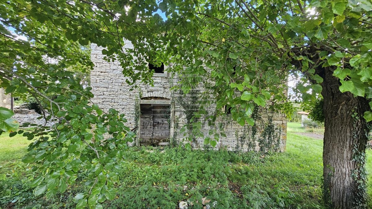 Pristna Istrska Stancija z Dvema Kamnitima Hišama in Pogledom na Naravo – Blizu Grožnjana 1