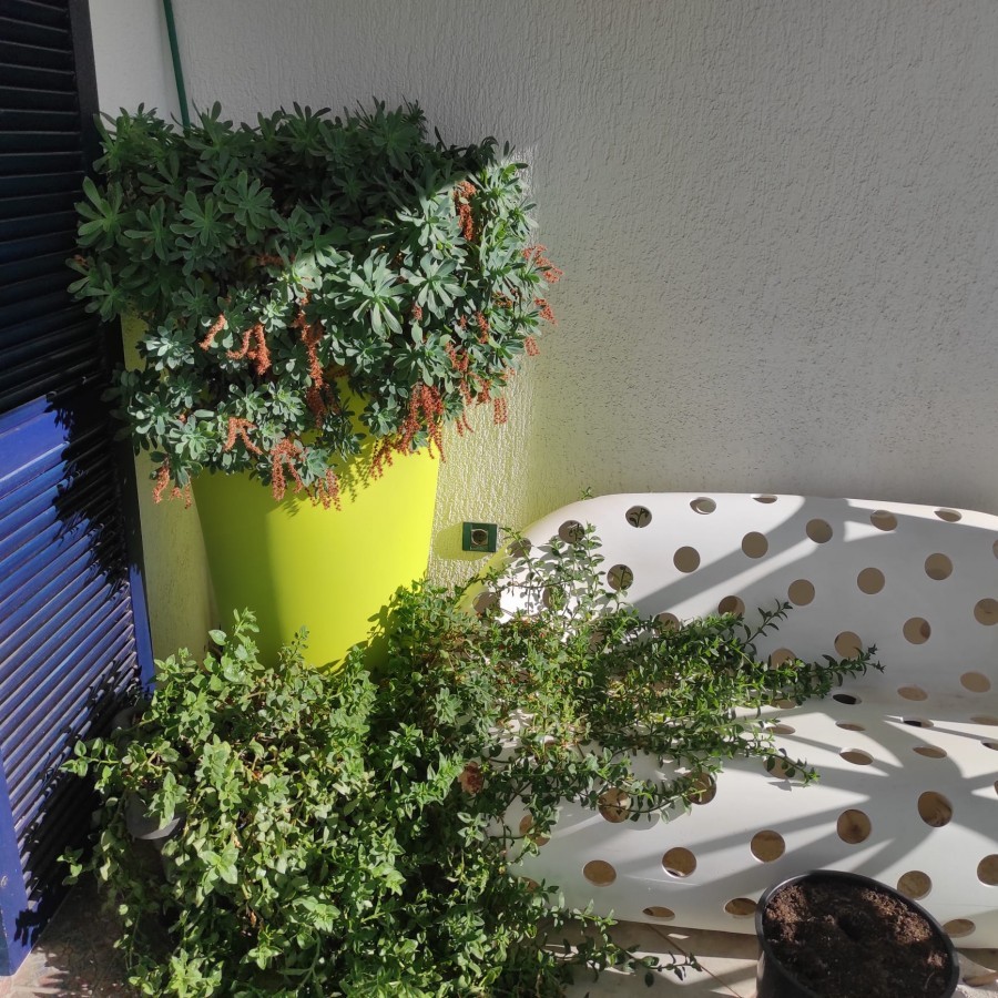 Apartment Pula 37