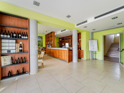 Poslovni prostor, Goriška – Goriška Brda (Kozana) 12