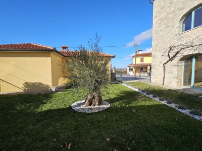 Erdgeschosswohnung mit Garten und überdachter Sommerküche 7