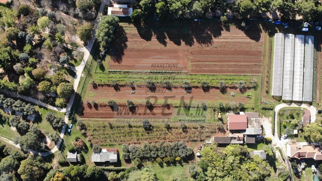 Building land near Umag 4