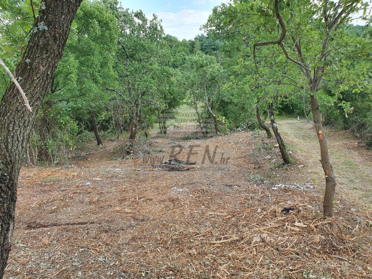 Terreno edificabile nei dintorni di Buje-Buie 2