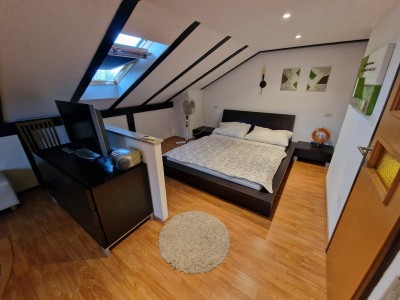 Einfamilienhaus in ruhiger Lage in der Nähe von Novigrad 23