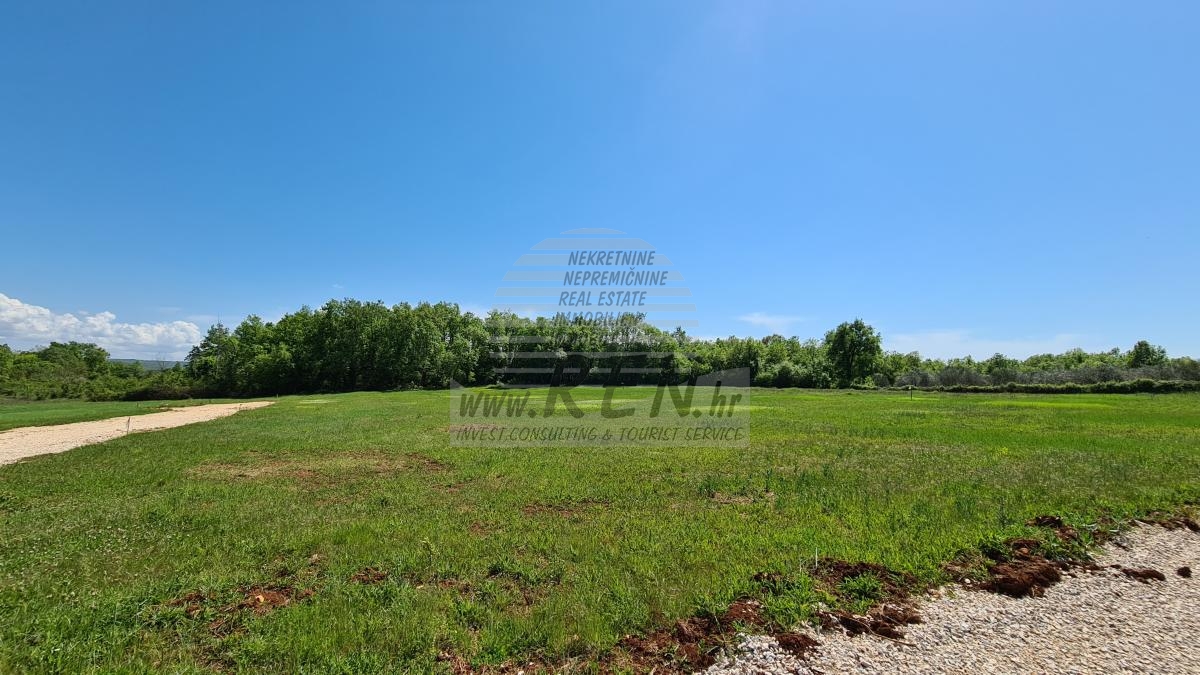 Terreno edificabile nei dintorni di Novigrad-Cittanova 6