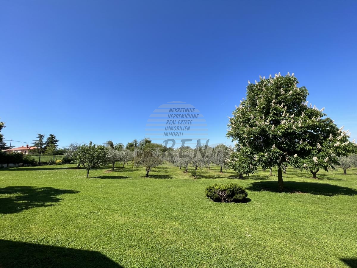 House with an olive grove and a view of the sea 17