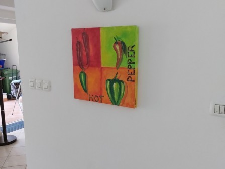Дом Medulin 14