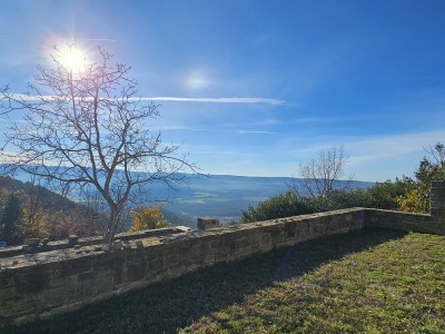 Steinruine mit Atemberaubendem Blick auf Motovun 7