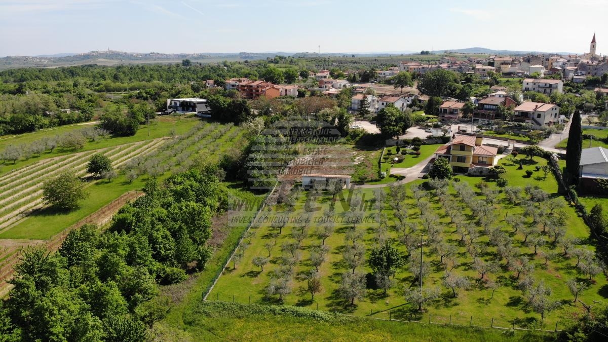 House with an olive grove and a view of the sea 1