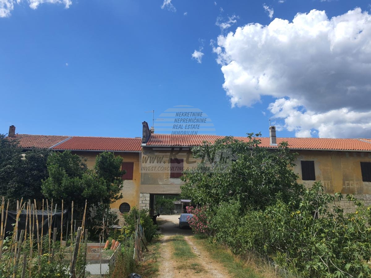 Wohnung in der Nähe von Novigrad 1