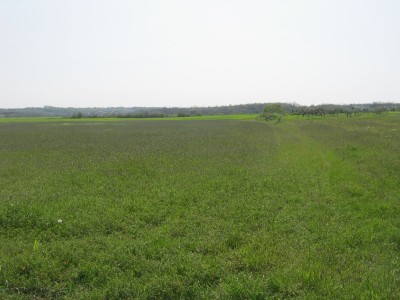 Kmetijsko zemljišče Umag