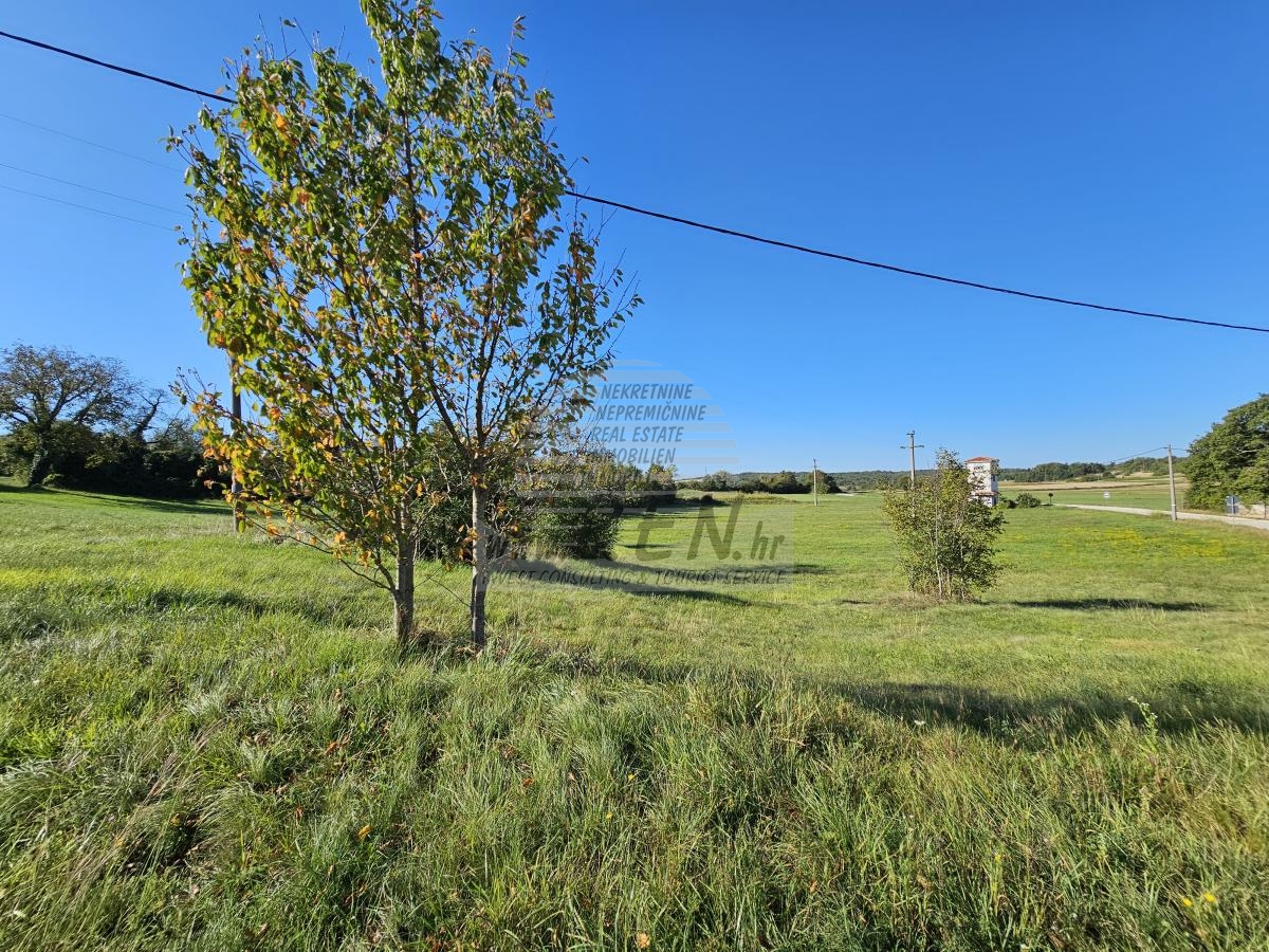 Building land near Buje 4